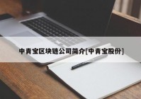 中青宝区块链公司简介[中青宝股份]