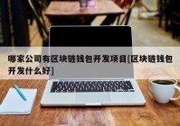 哪家公司有区块链钱包开发项目[区块链钱包开发什么好]